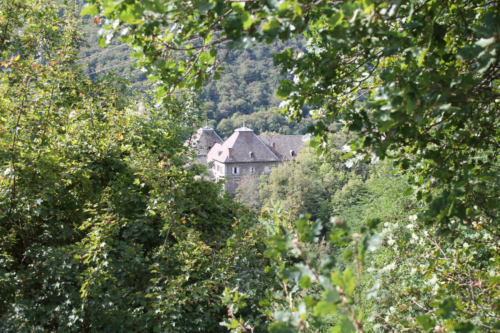 château, Motte Saint-Martin — Château abandonné en Auvergne-Rhône-Alpes