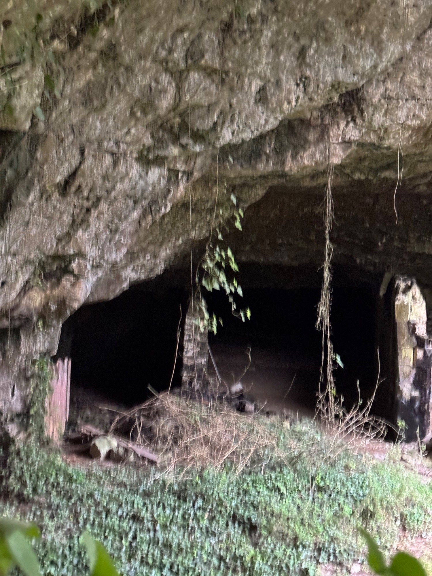 Carrière — Carrière abandonnée en Nouvelle-Aquitaine