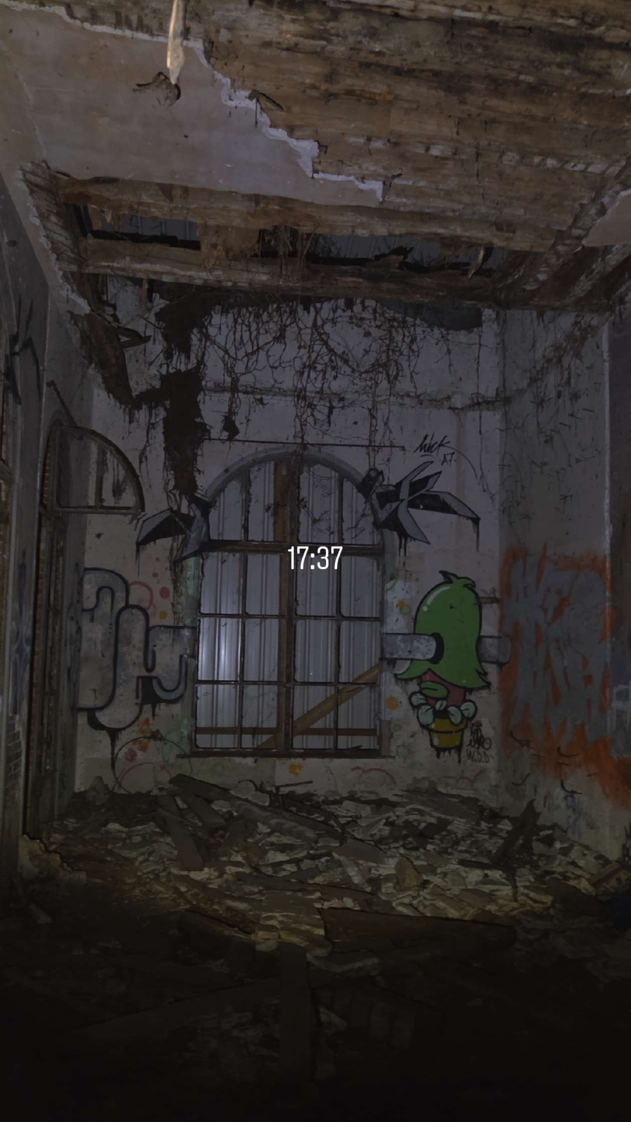 Ancienne orangerie — Lieu abandonné en Île-de-France