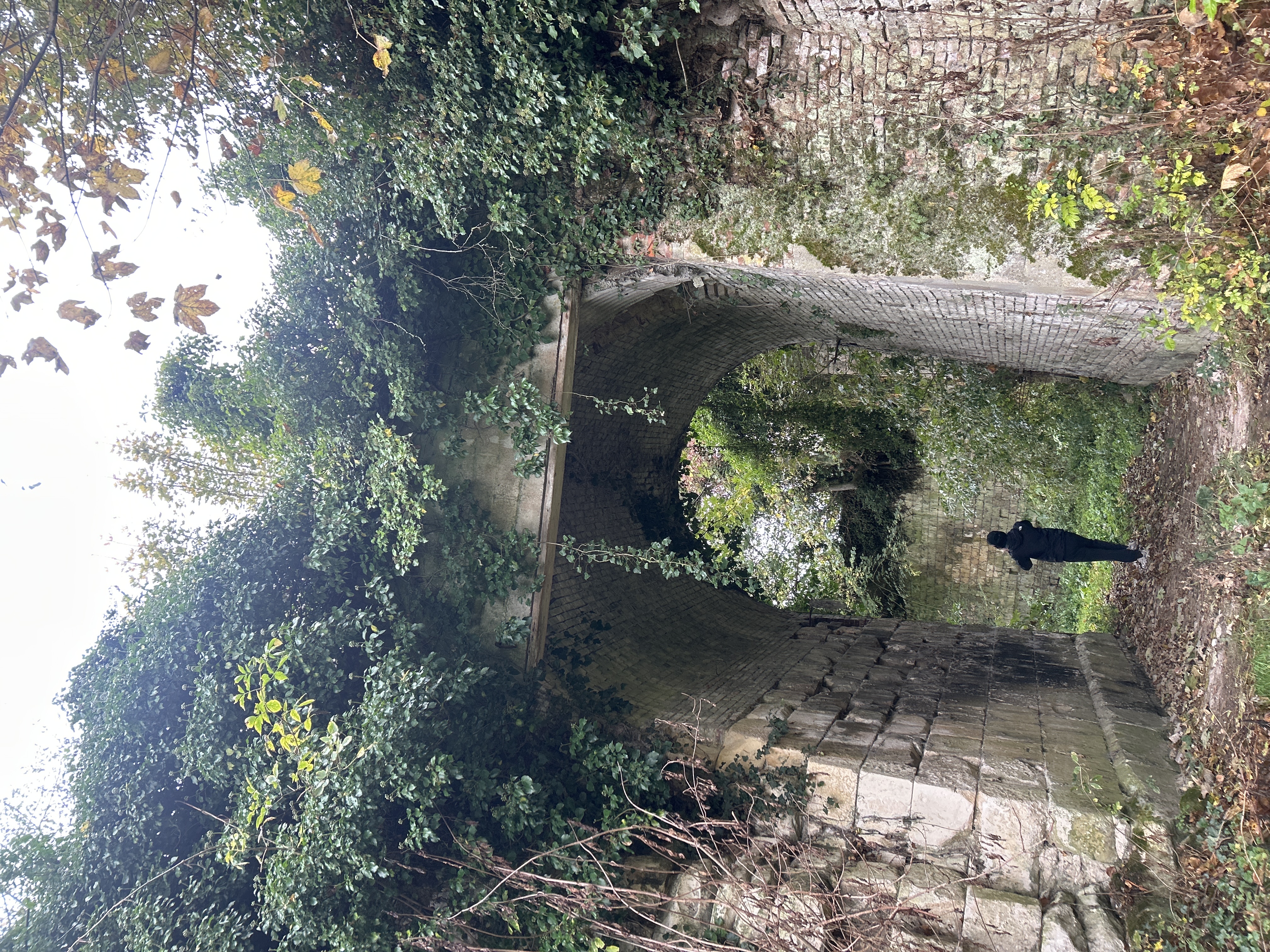 Ancienne Ruine/Chateau de Heilly — Château abandonné en Hauts-de-France
