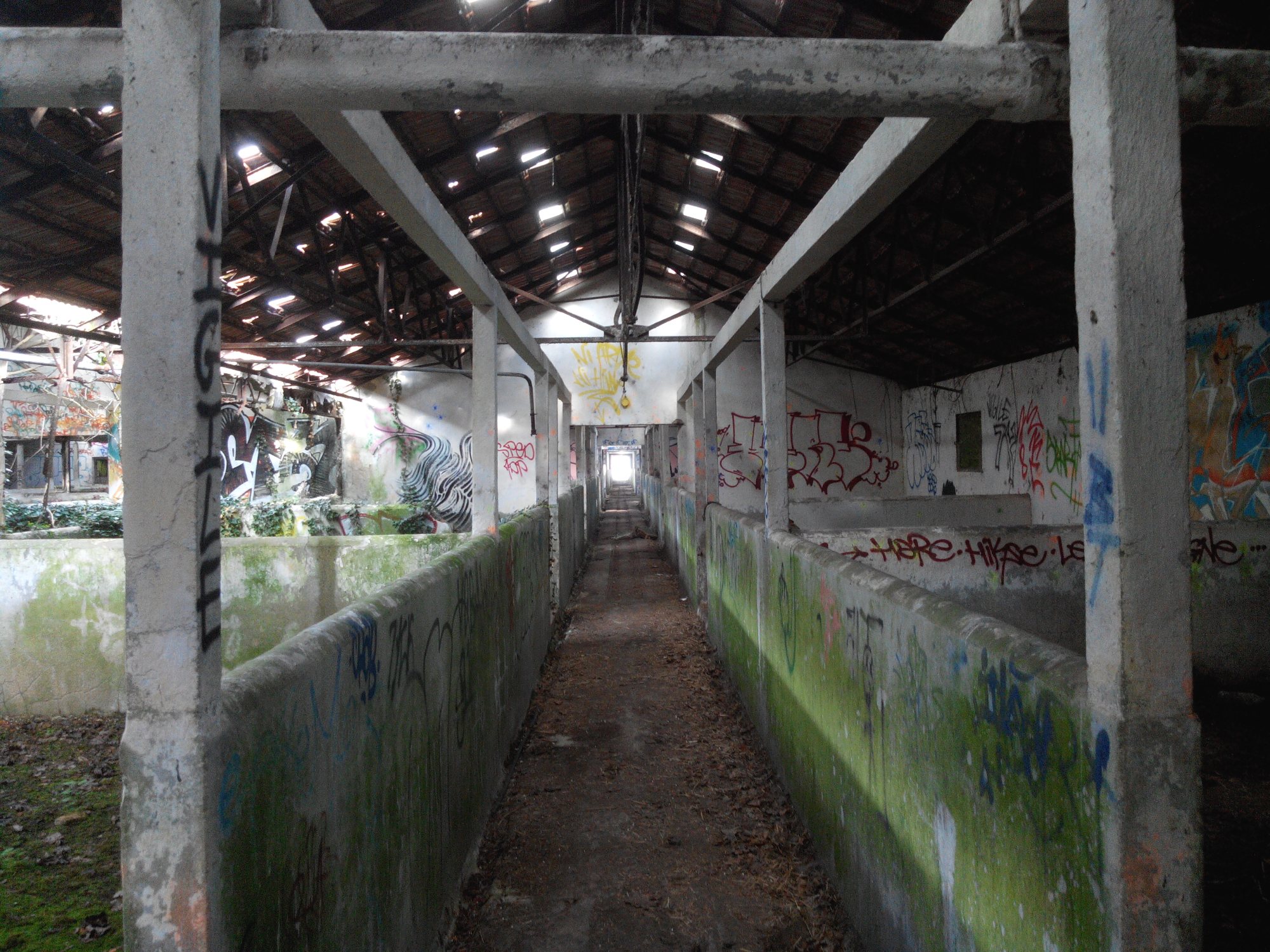 Abattoirs abandonnés — Abattoir abandonné en Île-de-France