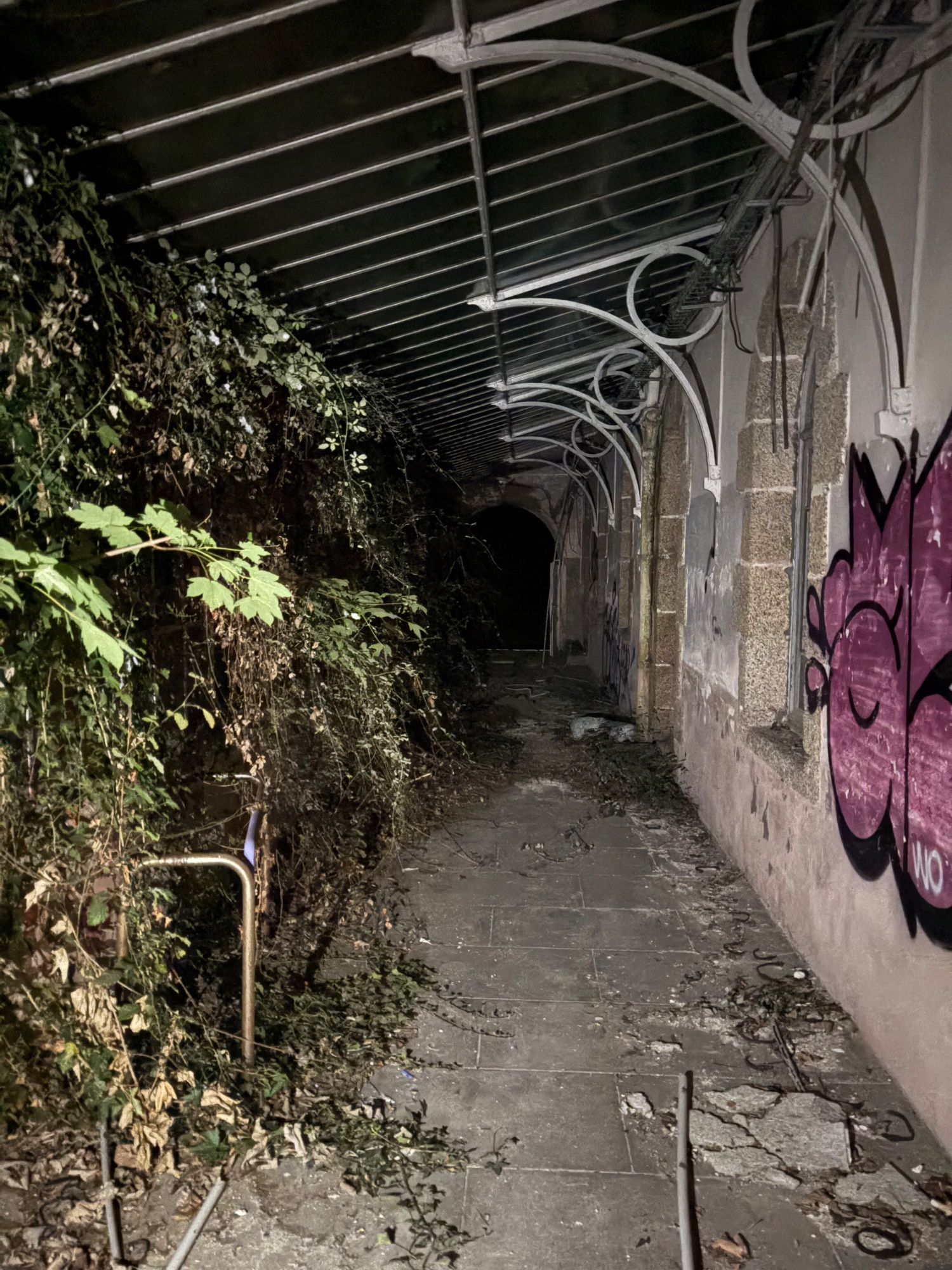 Lycée professionnel — Collège ou lycée à l'abandon